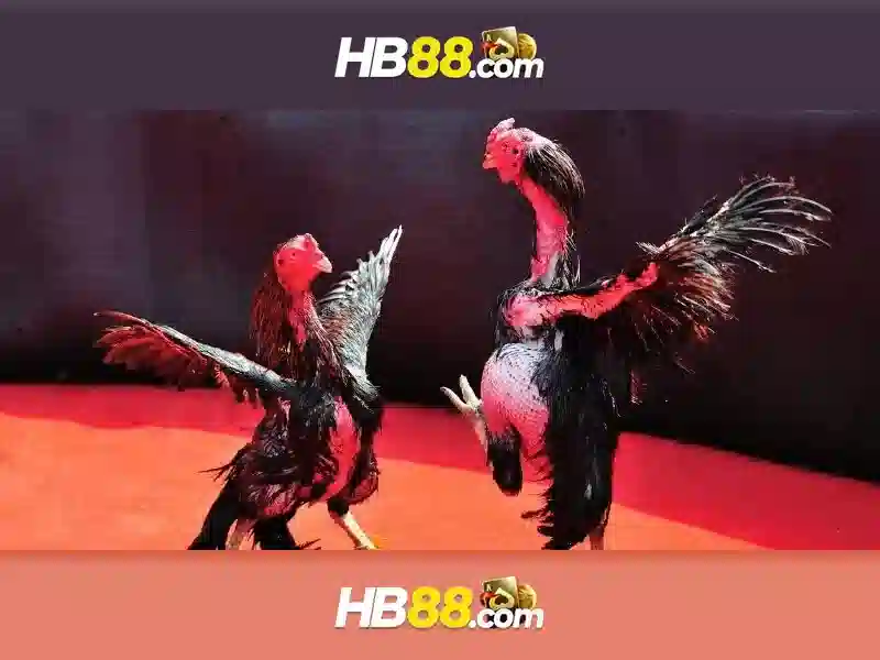 Giao diện nhà cái hoàn hảo