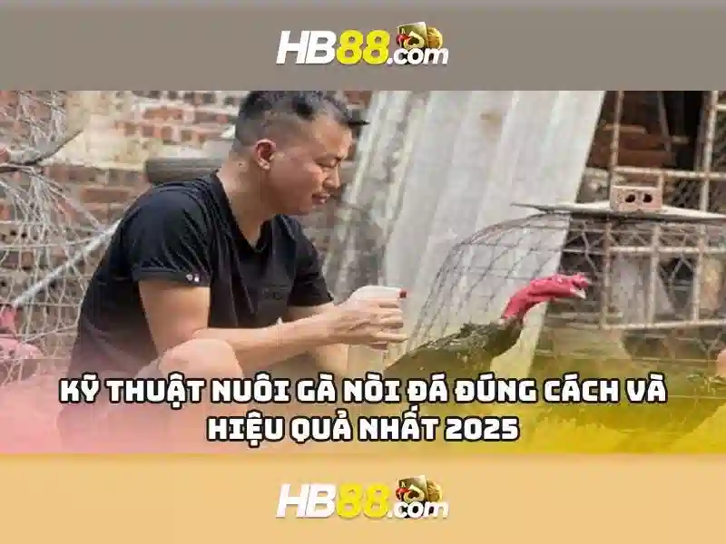 HB88 là gì và tại sao nó được quan tâm trong cá cược trực tuyến Giao diện nhà cái hoàn hảo