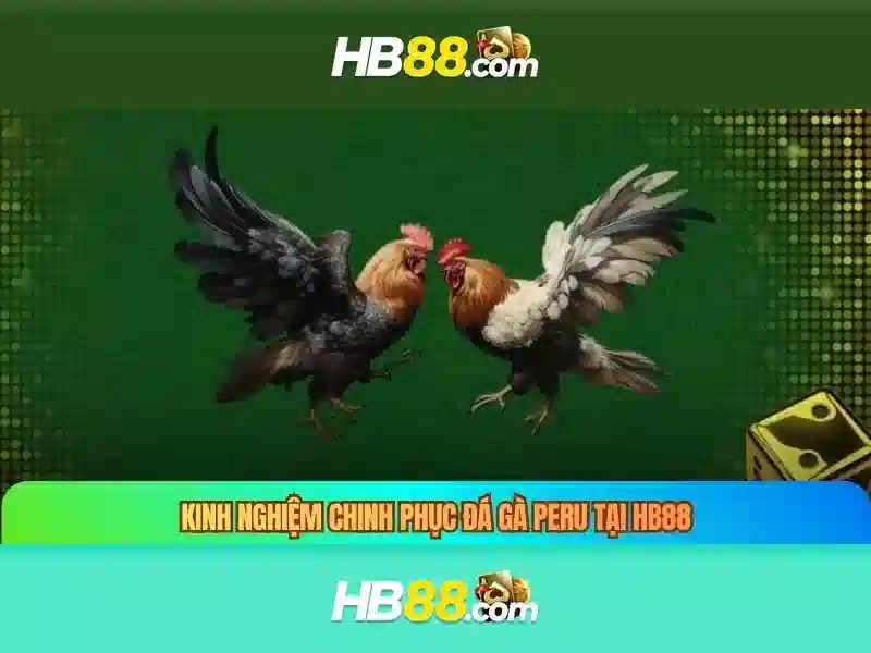 HB88 là gì?