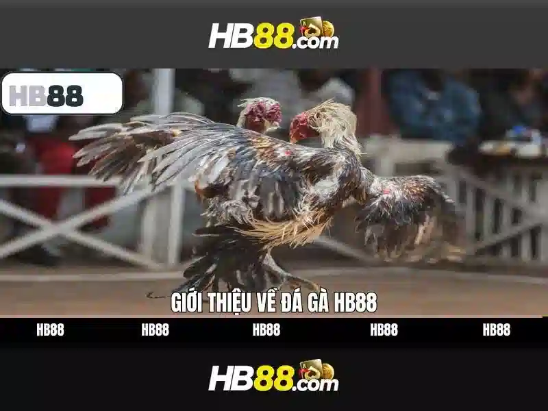 Trải nghiệm người dùng và phản hồi cộng đồng