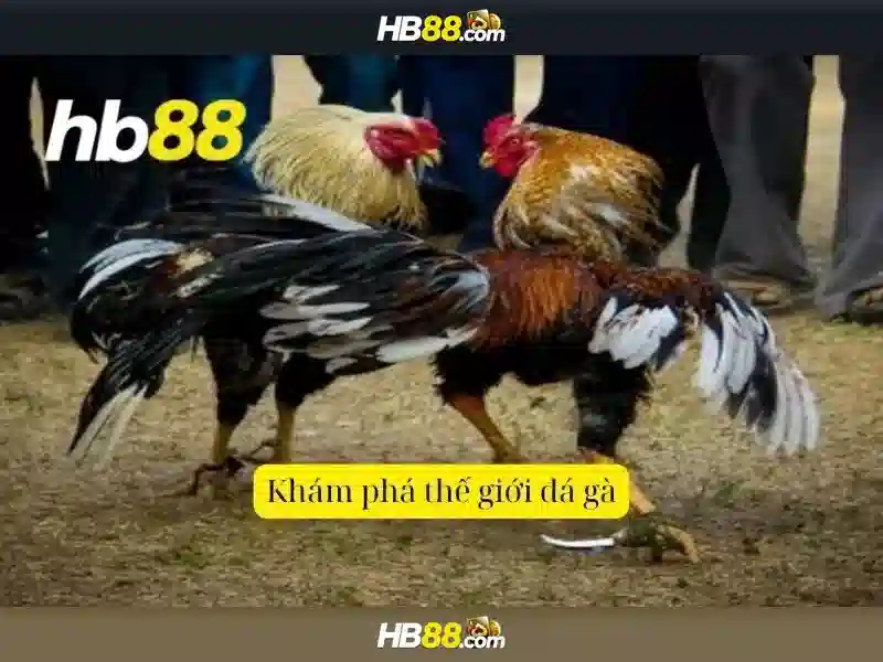 Các sản phẩm của HB88