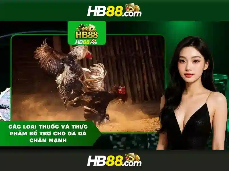 HB88 và ngành cá cược trực tuyến ở Việt Nam