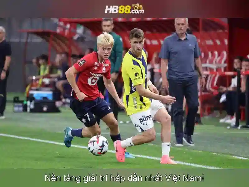 HB88 là gì?