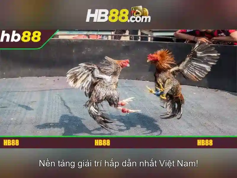Giới thiệu HB88 Giao diện nhà cái hoàn hảo