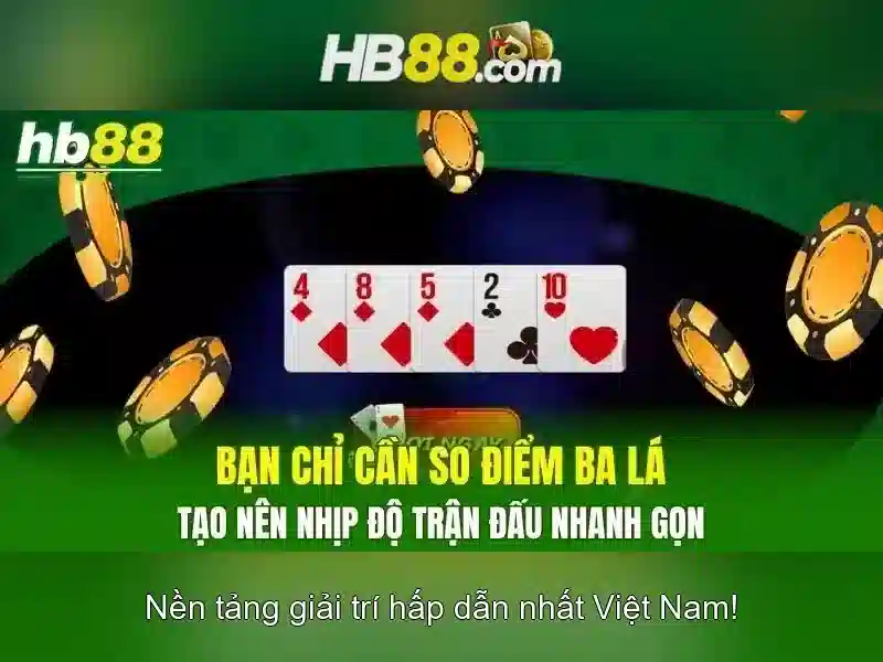 Theo dõi và hỗ trợ khách hàng