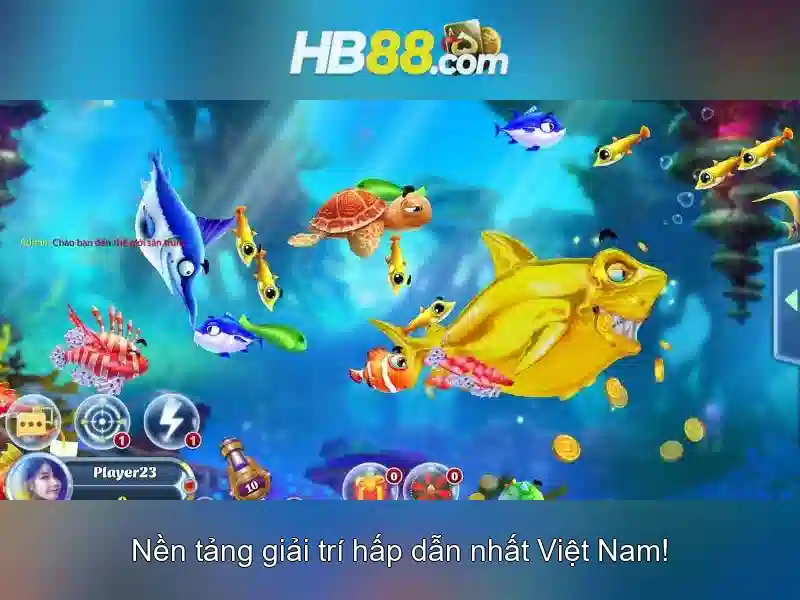 Chính sách an toàn và trách nhiệm