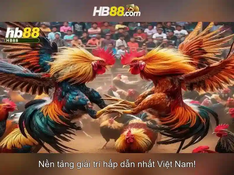 Giao diện nhà cái hoàn hảo